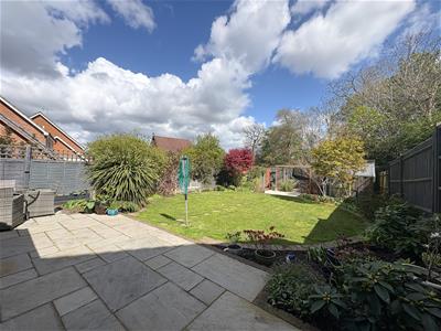 Picture 25